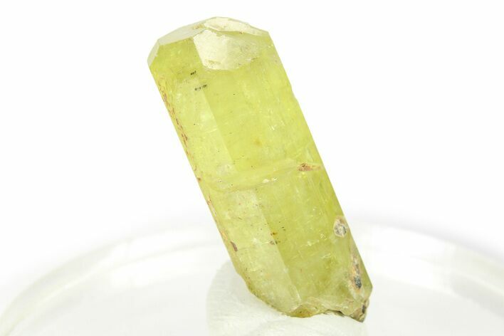 Gemmy Yellow-Green Apatite Crystal - Morocco #276537